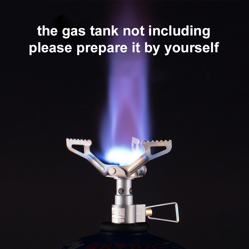 BRS Outdoor Gas Stove Mini Cam - Cooking On Camping Stove avis et prix