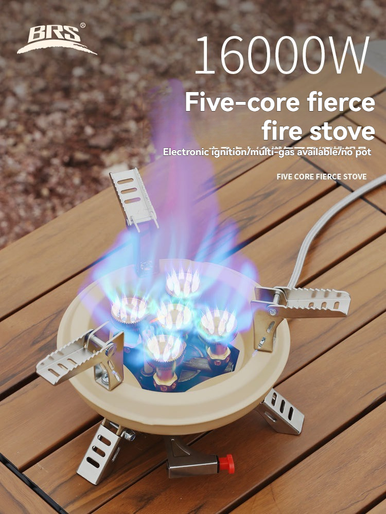 BRS-201A Portable Camping Gas  - Camping Cooking Propane avis et prix
