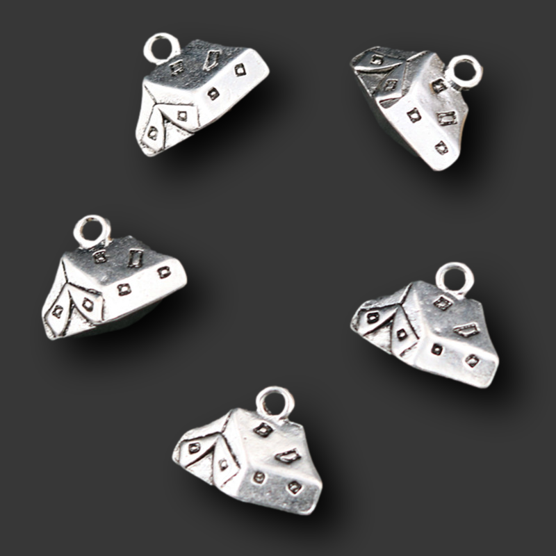 8pcs Silver Color Camping Styl - Camping Cooking Tent avis et prix